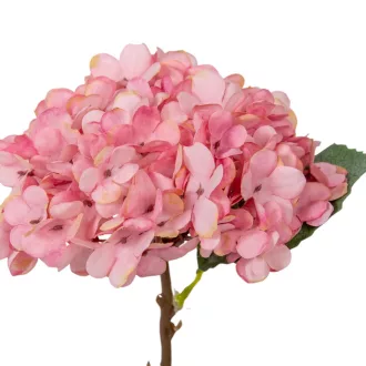 Hortenzia ág mix M33cm 50db/#