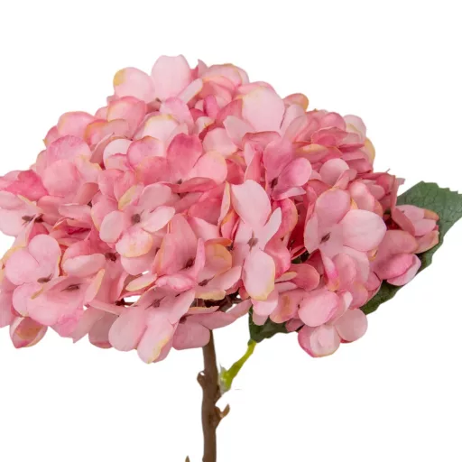 Hortenzia ág mix M33cm 50db/#