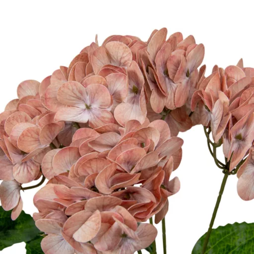 Hortenzia csokor gumi 5v. mix M44cm 24db/#