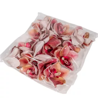 Orchidea virágfej polifoam D10cm MAU 24db/csom