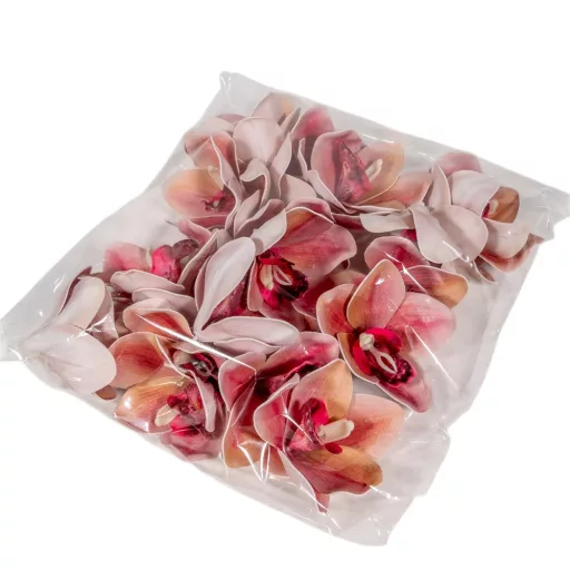 Orchidea virágfej polifoam D10cm MAU 24db/csom