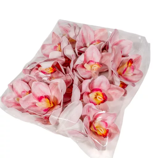 Orchidea virágfej polifoam D10cm PK 24db/csom