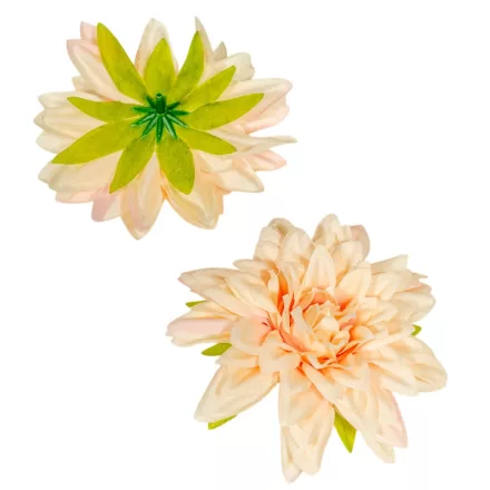 Dália virágfej barack D11cm 24db/csom