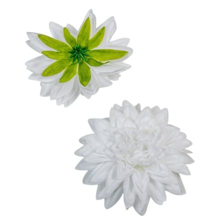 Dália virágfej fehér D11cm 24db/csom
