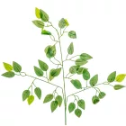 Fikuszlevél M62cm 12db/köteg