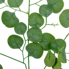 Eukaliptusz leveles ág M70cm