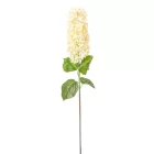 Orgona szálas gumi krém M80cm 48db/#