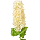 Orgona szálas gumi krém M80cm 48db/#