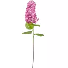 Orgona szálas gumi lila M80cm 
 48db/#