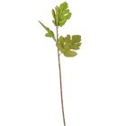 Krizantém szár M68cm