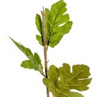 Krizantém szár M68cm