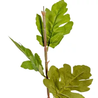 Krizantém szár M68cm