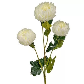Krizantém ág 3v. krém M60cm 40db/#