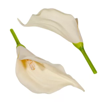Kála virágfej polifoam CR 17cm 24db/csom