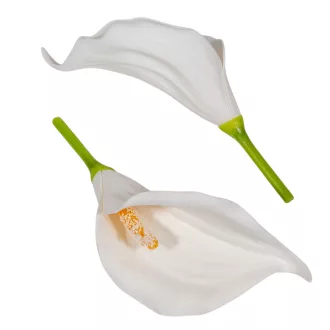 Kála virágfej polifoam WH 17cm 24db/csom