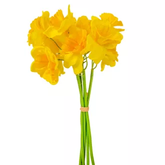 Nárcisz köteg 5v. M34cm 24db/#