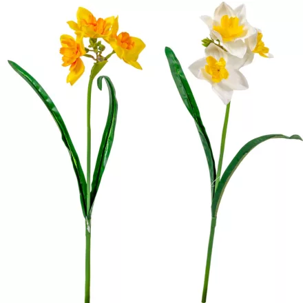 Nárcisz szálas 3v. M45cm 50db/#