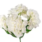 Hortenzia csokor 5v. krém M45cm 25db/#
