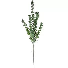 Eukaliptusz ág M90cm 36db/#