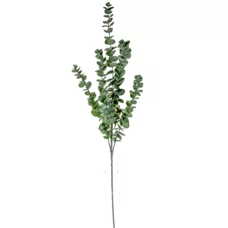 Eukaliptusz ág M90cm 36db/#