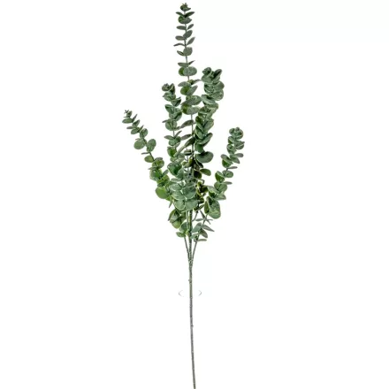 Eukaliptusz ág M90cm 36db/#
