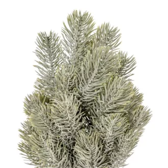 Fenyő ág hamvas dús 37cm