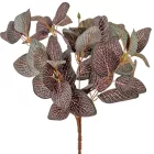 Leveles bokor 6ágú M30cm 48db/#