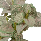 Leveles bokor 6ágú M30cm 48db/#