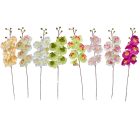 Orchidea ág mix M77cm 6db/szín/köteg