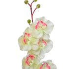 Orchidea ág mix M77cm 6db/szín/köteg