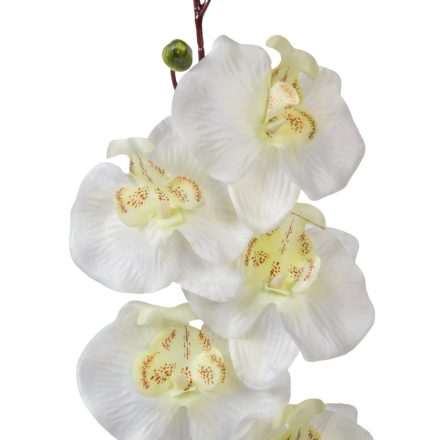 Orchidea ág fehér M77cm 6db/köteg