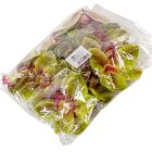 Orchidea virágfej gumi GR D10cm 24db/csom