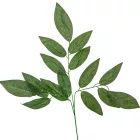 Citromleveles ág M70cm 12db/köteg