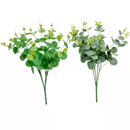 Eukaliptusz bokor M47cm 60db/#