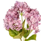 Hortenzia csokor 5v. mix M46cm 12db/#