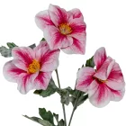 Hibiszkusz ág 3v. flokkolt mix M53cm 48db/#
