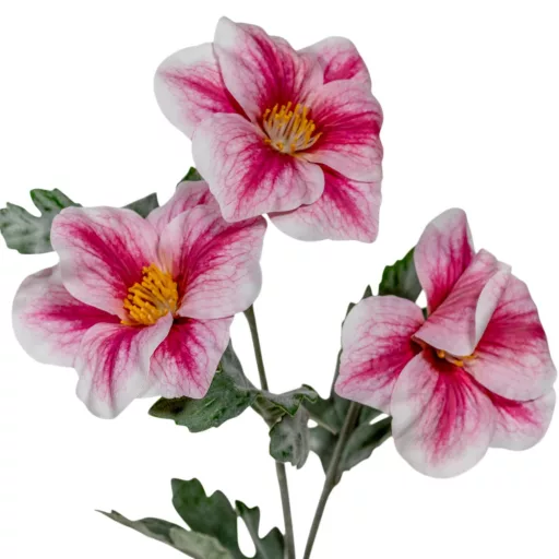 Hibiszkusz ág 3v. flokkolt mix M53cm 48db/#