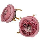 Boglárka virágfej D6cm 24db/csom