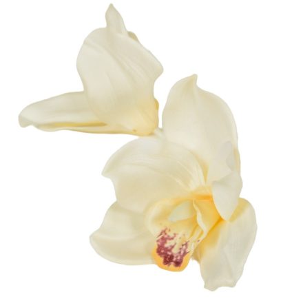Orchidea virágfej 300 D10cm 20db/csom