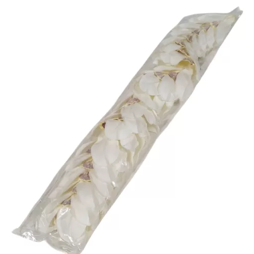 Orchidea virágfej 300V D10cm 20db/csom