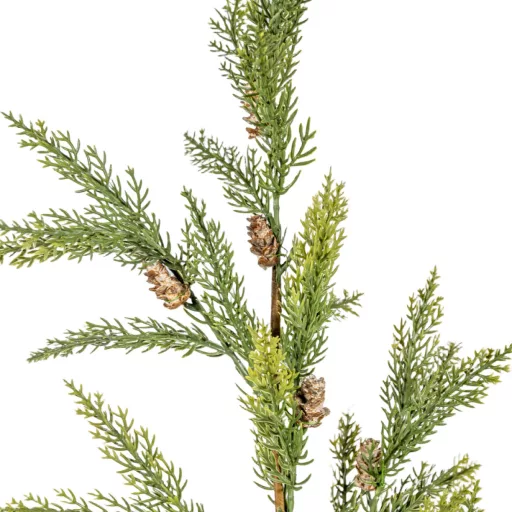Tuja ág tobozzal zöld M85cm