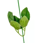 Rózsaszár 45cm 24db/köteg