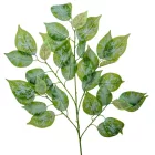 Hamvas fikusz ág M65cm