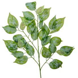 Hamvas fikusz ág M65cm