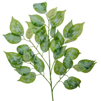 Hamvas fikusz ág M65cm