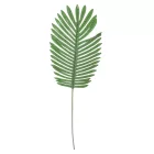 Pálma levél M86cm