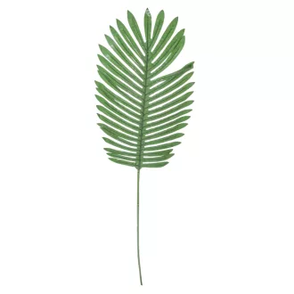 Pálma levél M86cm