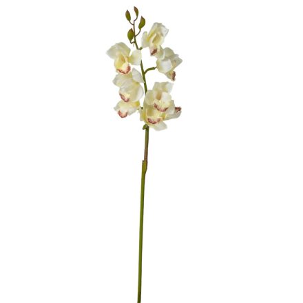 Orchidea szálas gumi M86cm 12db/#