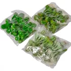 Kaktusz pick M12cm 6db/szín/csom