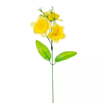 Nárcisz pick 3v. M38cm 80db/#